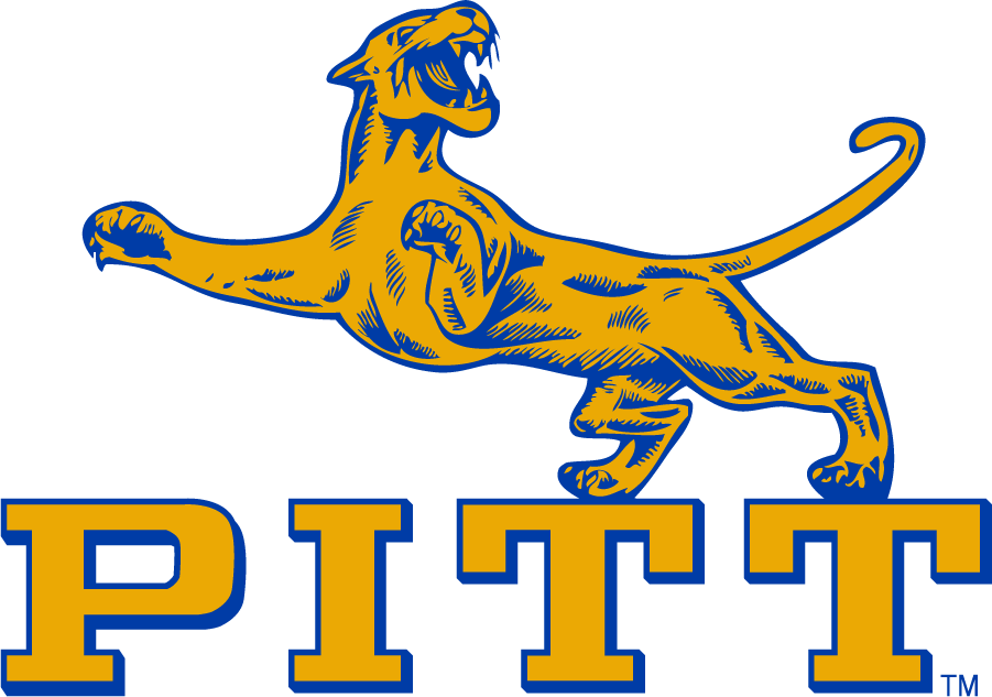 Pittsburgh Panthers 1960-1969 Alternate Logo diy DTF decal sticker